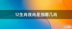 12生肖夜肖是指哪几肖