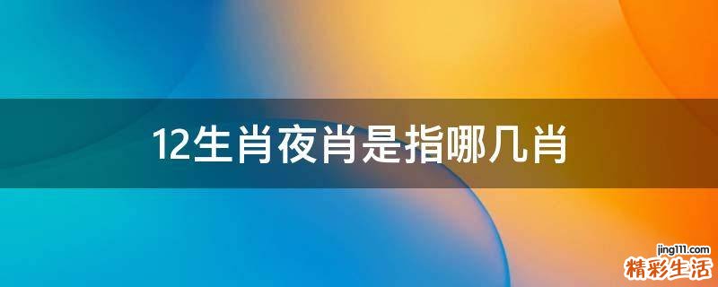 12生肖夜肖是指哪几肖