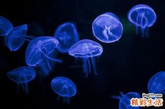 小孩能经常做经络按摩吗