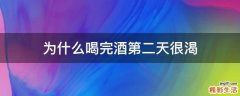 为什么喝完酒第二天很渴