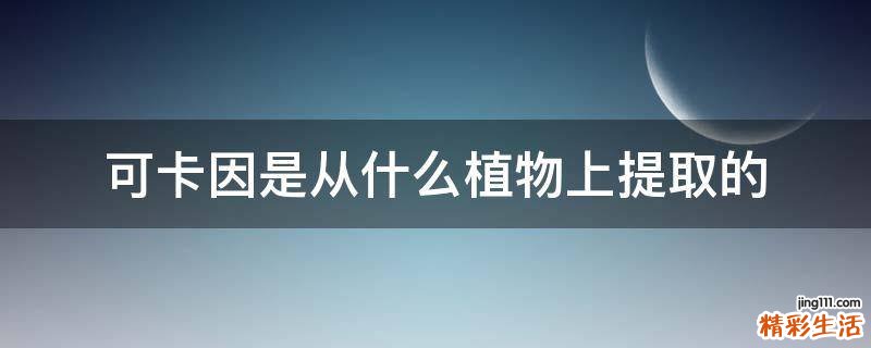 可卡因是从什么植物上提取的