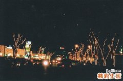 灵芝能够治疗慢性肝炎吗