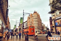 牡荆叶的药用价值_牡荆叶的副作用