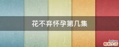 花不弃怀孕第几集