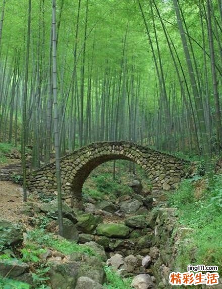 干咳无痰吃什么药