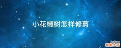 小花椒树怎样修剪