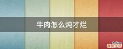 牛肉怎么炖才烂