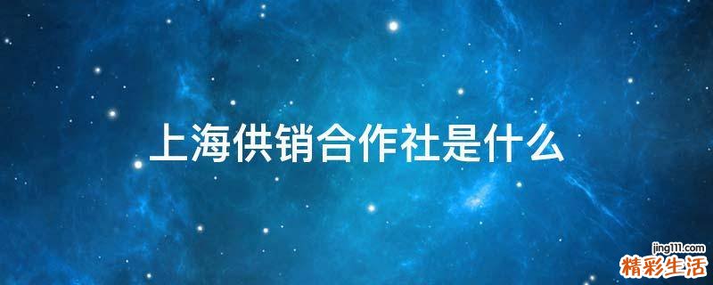 上海供销合作社是什么