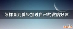 怎样查到曾经加过自己的微信好友