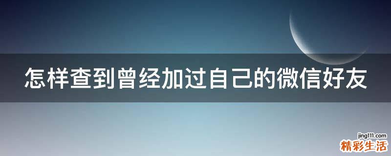 怎样查到曾经加过自己的微信好友