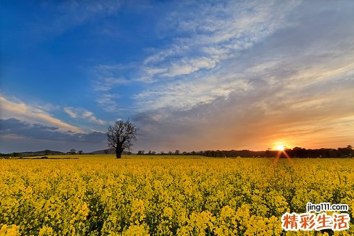 大寒时节吃什么好