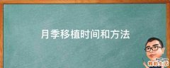 月季移植时间和方法