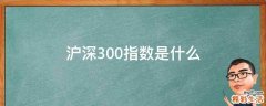 沪深300指数是什么