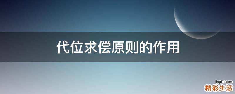 代位求偿原则的作用