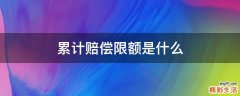 累计赔偿限额是什么