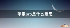 苹果pro是什么意思