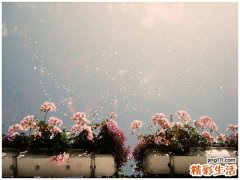 中西药配伍常见五大禁忌