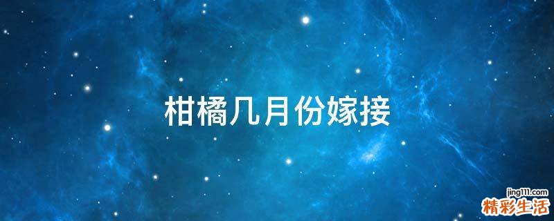 柑橘几月份嫁接