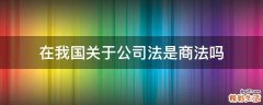 在我国关于公司法是商法吗