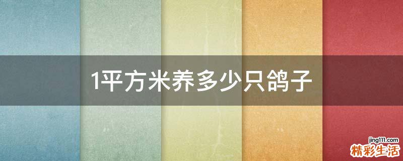 1平方米养多少只鸽子