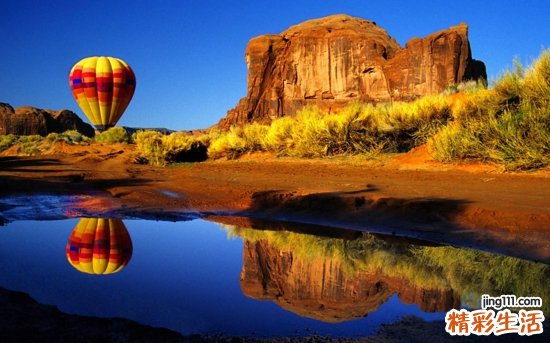 毛大丁草的药用价值_毛大丁草的副作用