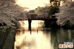 立春吃什么养生