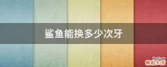 鲨鱼能换多少次牙