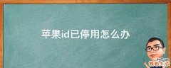 苹果id已停用怎么办