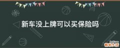 新车没上牌可以买保险吗