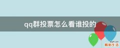 qq群投票怎么看谁投的