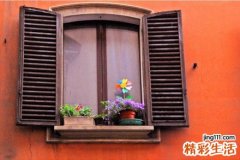 3 中药的8个“是非”儿童服用