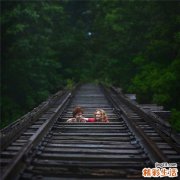 明明白白肺癌的播散途径