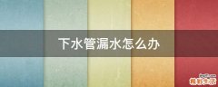 下水管漏水怎么办