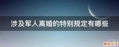 涉及军人离婚的特别规定有哪些