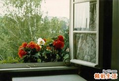 子宫内膜息肉不能吃什么