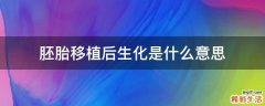胚胎移植后生化是什么意思