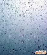 秋季养生应该吃什么