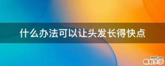 什么办法可以让头发长得快点