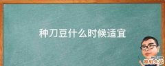 种刀豆什么时候适宜