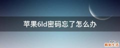 苹果6ld密码忘了怎么办