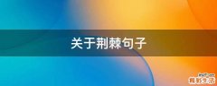 关于荆棘句子