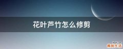 花叶芦竹怎么修剪
