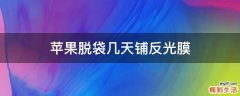 苹果脱袋几天铺反光膜