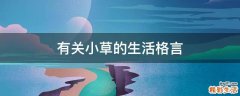 有关小草的生活格言