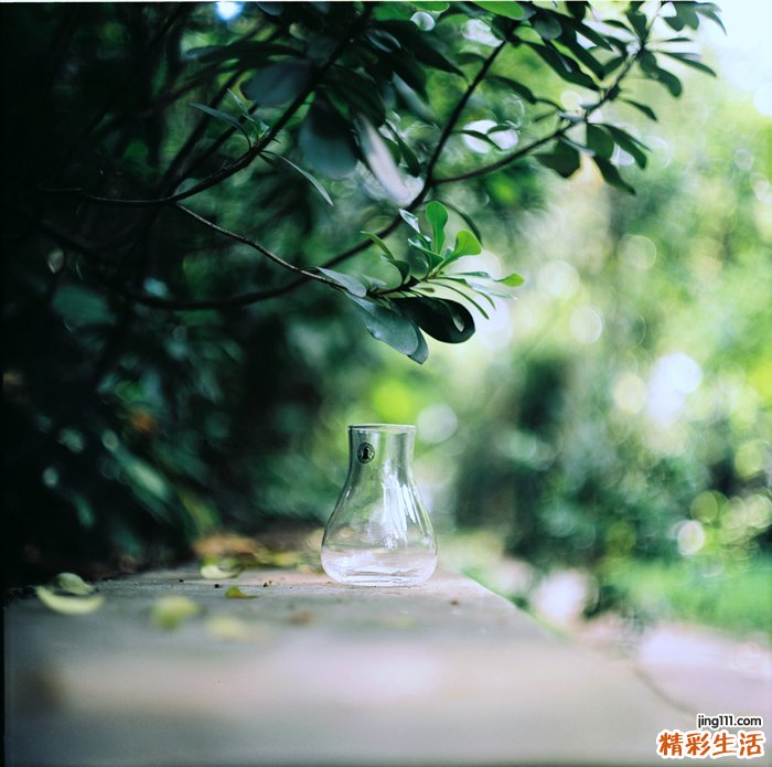 冬季养生吃什么粥好