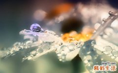 类风湿关节炎与风湿性关节炎区别