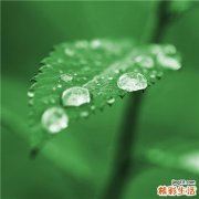 冬季应该吃什么进补