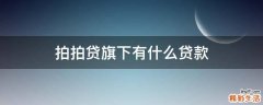 拍拍贷旗下有什么贷款