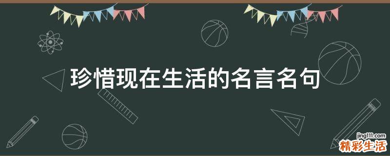 珍惜现在生活的名言名句