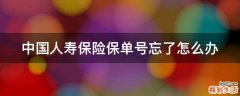 中国人寿保险保单号忘了怎么办